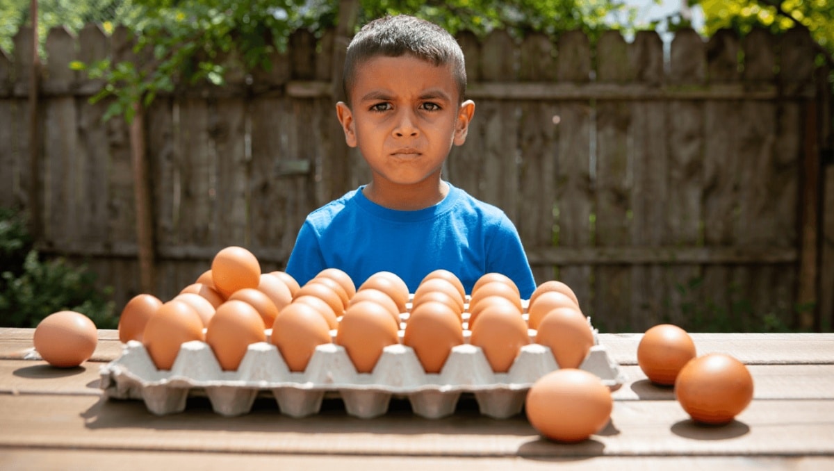 Podría ser el emprendedor más joven de la historia: monta un negocio de venta de huevos con solo 6 años