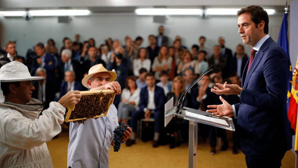 El Gobierno garantiza la continuidad de las ayudas de la PAC al vino y la apicultura en 2028