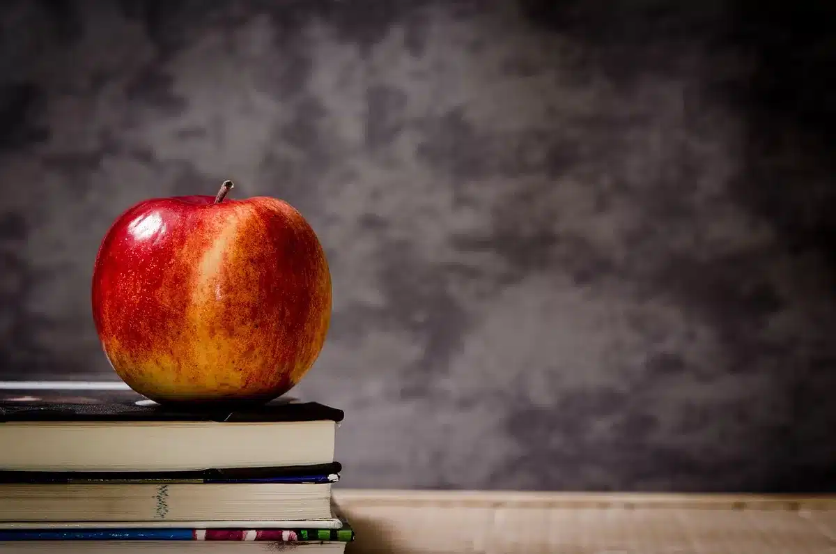 Educador planificando la organización y adaptación del espacio en un aula infantil