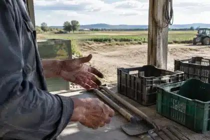 El 40% de los agricultores beneficiarios de la PAC están próximos a jubilarse