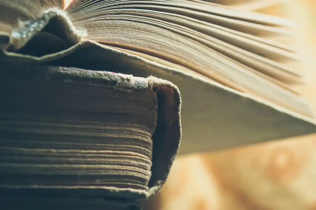 Personal organizando libros en una estantería de biblioteca